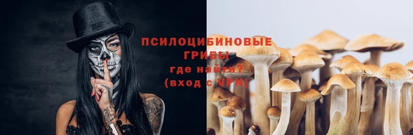 ГАЛЛЮЦИНОГЕННЫЕ ГРИБЫ Апатиты