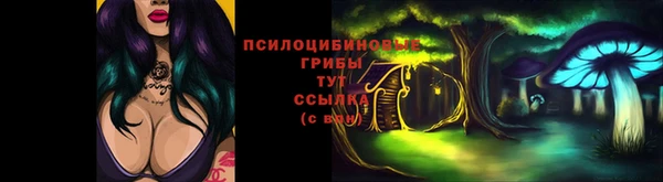 МДПВ Няндома