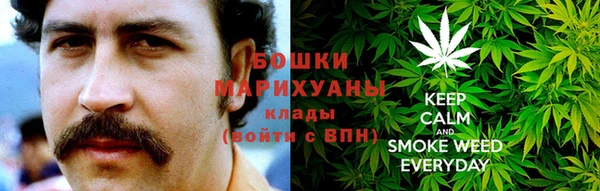 ГАЛЛЮЦИНОГЕННЫЕ ГРИБЫ Нязепетровск