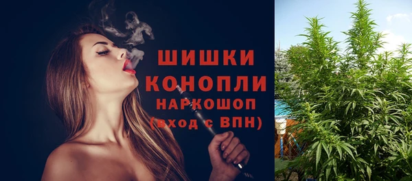 МДПВ Няндома