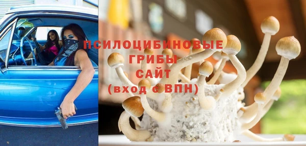 МДПВ Няндома
