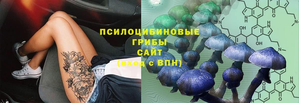 ГАЛЛЮЦИНОГЕННЫЕ ГРИБЫ Нязепетровск